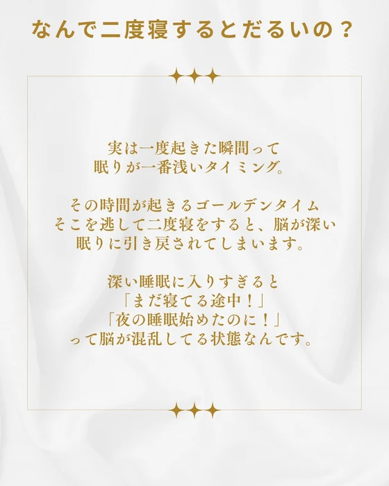 画像337