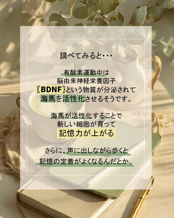 画像347
