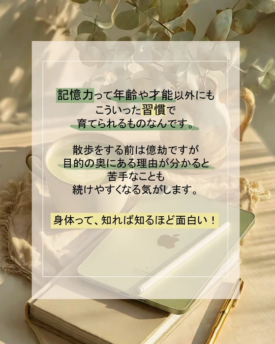 画像348