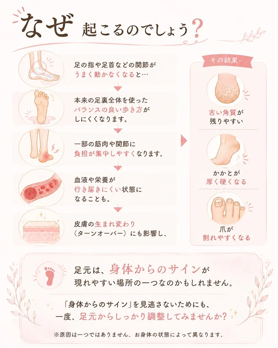 画像399